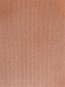 Linden Apricot Velvet Regal Fabric